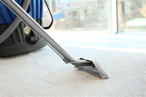 Top 10 Best Carpet Cleaner in Castle Rock, CO